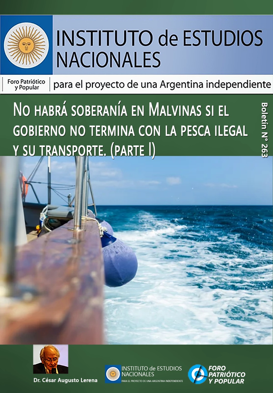 Boletín N° 263